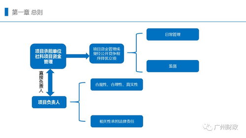 圖解廣州市市級財政社會科學研究項目資金管理暫行辦法 醫(yī)療投資管理視角