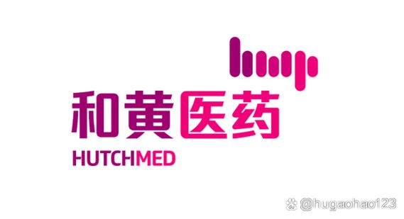 深度分析和黃醫(yī)藥在中國醫(yī)藥領(lǐng)域的投資價值 醫(yī)療投資管理視角